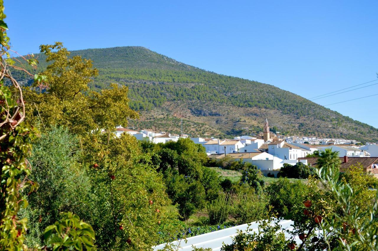 Ecoalbergue Rural De Algodonales Luaran gambar