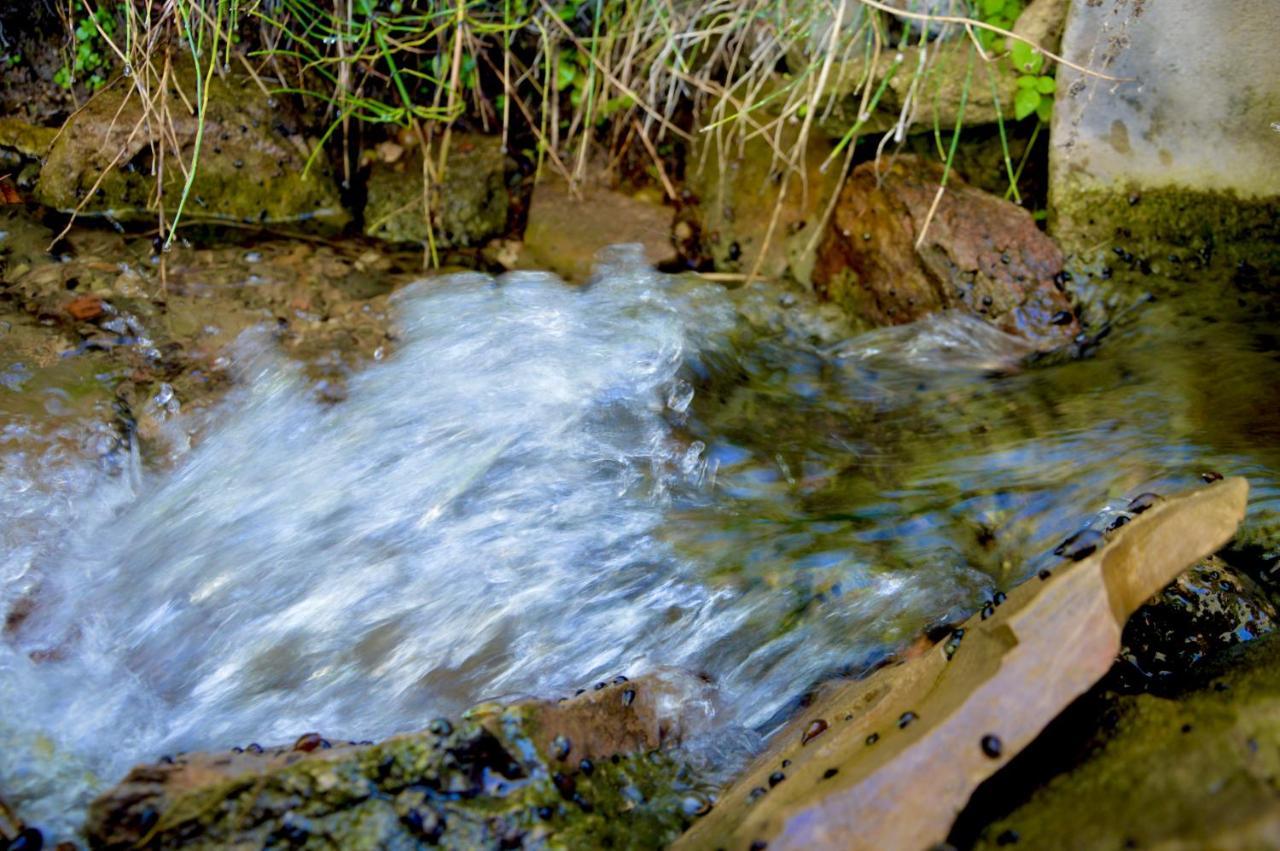 Ecoalbergue Rural De Algodonales Luaran gambar